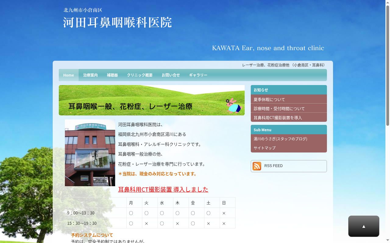 医療法人 河田耳鼻咽喉科医院の公式サイトのスクリーンショット
