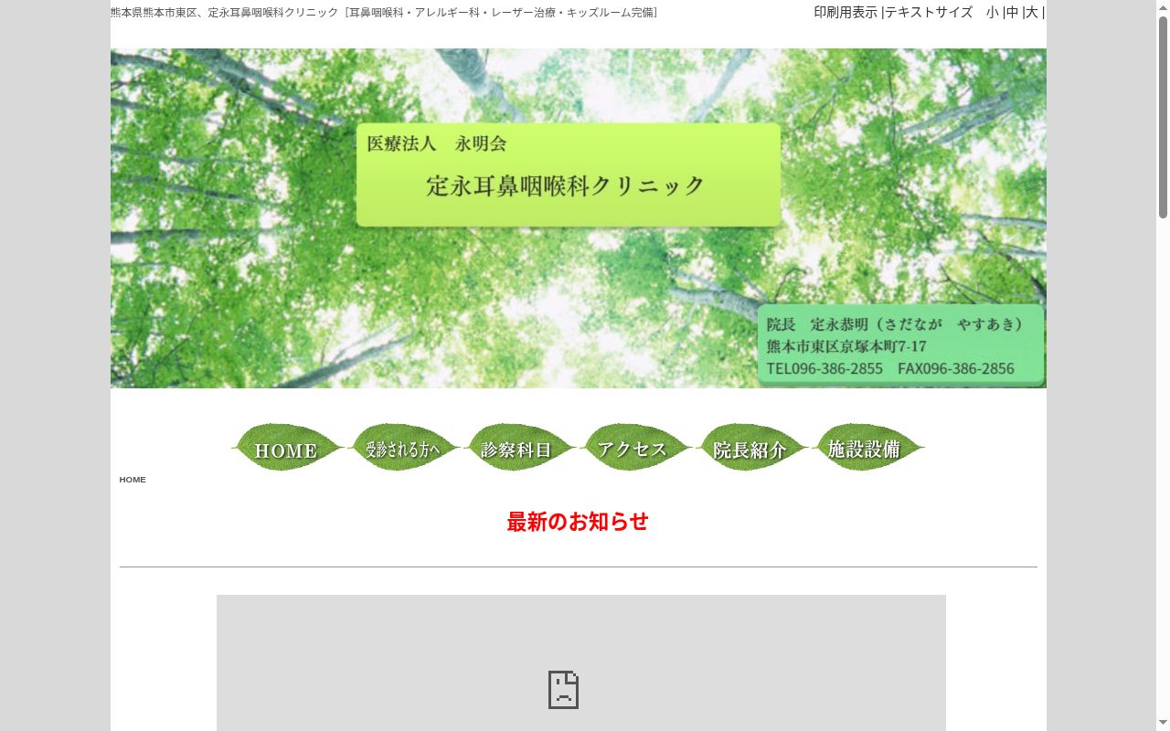 定永耳鼻咽喉科クリニックの公式サイトのスクリーンショット